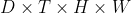 D \times T \times H \times W
