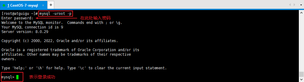 image-20220625114724832