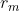 r_{m}