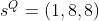 s^{Q} = (1, 8, 8)