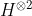 H^{\otimes 2}